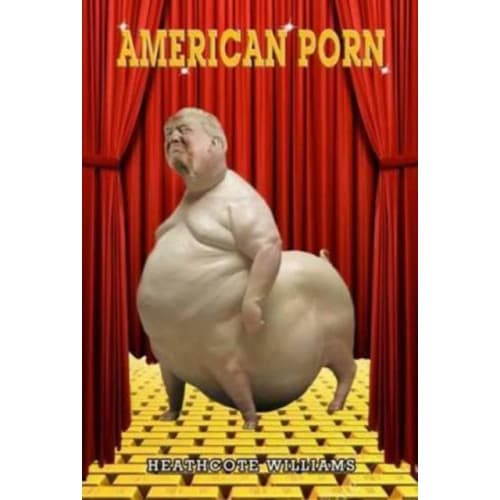 American Porn (häftad, eng)
