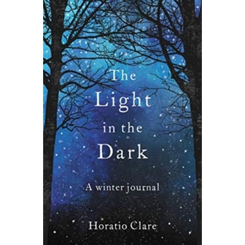 The Light in the Dark (häftad, eng)