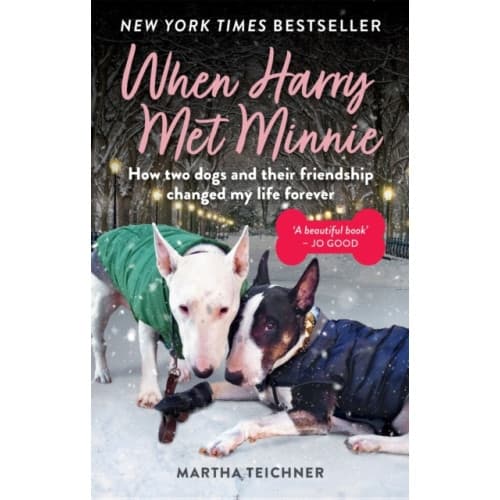When Harry Met Minnie (häftad, eng)