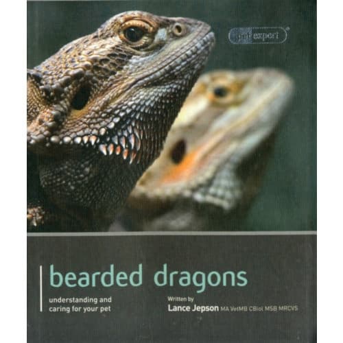 Bearded Dragon - Pet Expert (häftad, eng)