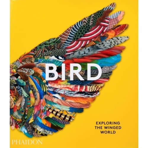 Bird (inbunden, eng)