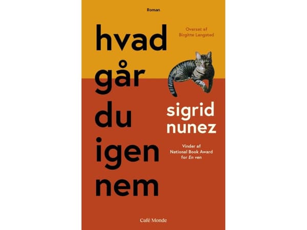 hvad går du igennem | Sigrid Nunez | Språk: Dansk