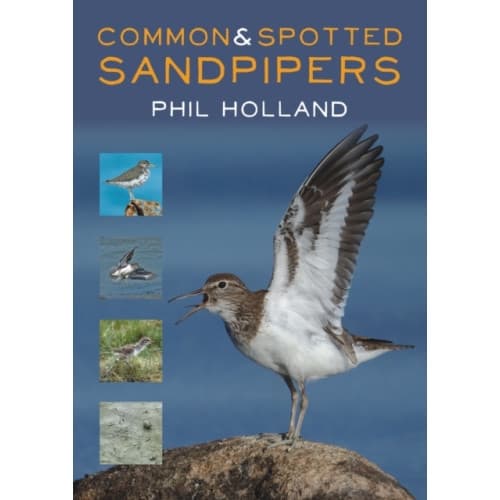 Common and Spotted Sandpipers (häftad, eng)