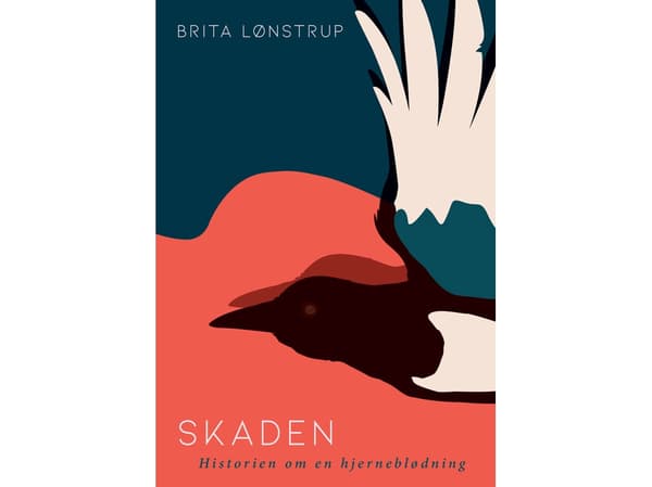 Skadan | Brita Lønstrup | Språk: Danska