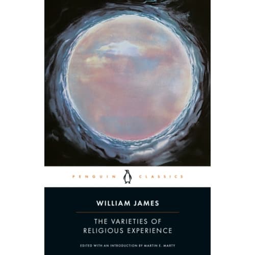 The Varieties of Religious Experience (häftad, eng)