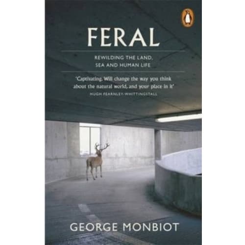 Feral (häftad, eng)