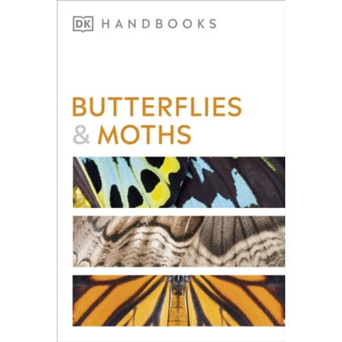 Butterflies and Moths (häftad, eng)