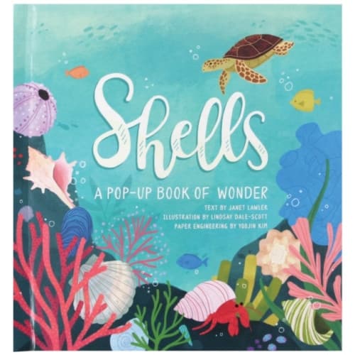Shells (inbunden, eng)