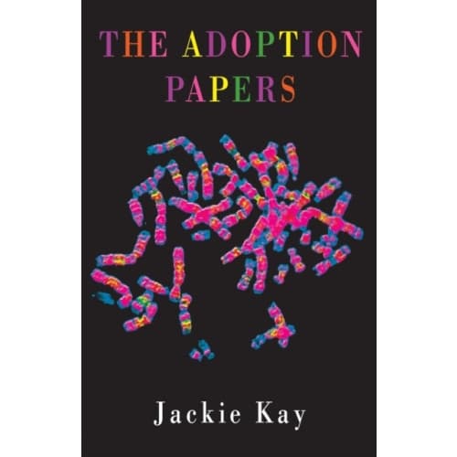 The Adoption Papers (häftad, eng)
