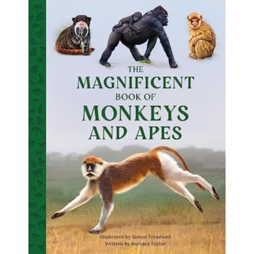 The Magnificent Book of Monkeys and Apes (inbunden, eng)