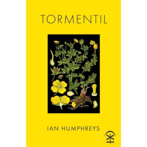 Tormentil (häftad, eng)