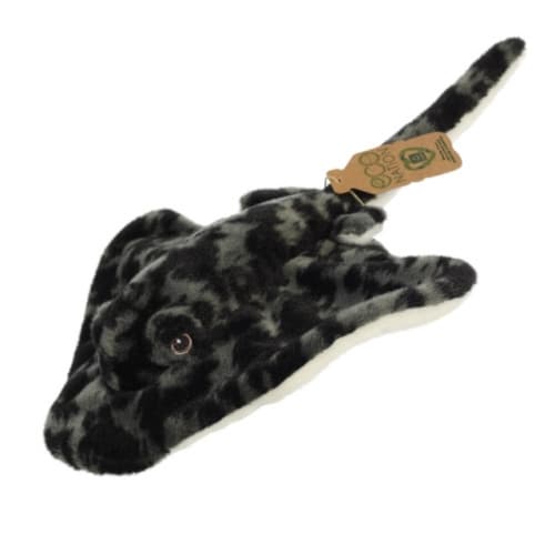 Eco Nation Stingray (häftad, eng)