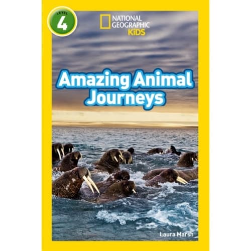 Amazing Animal Journeys (häftad, eng)