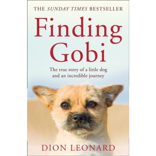 Finding Gobi (Main edition) (häftad, eng)