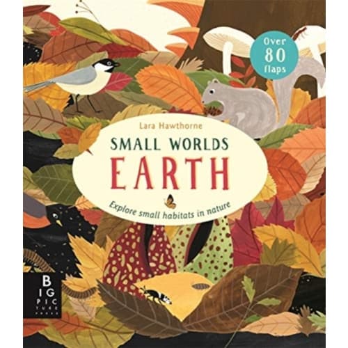 Small Worlds: Earth (bok, board book, eng)