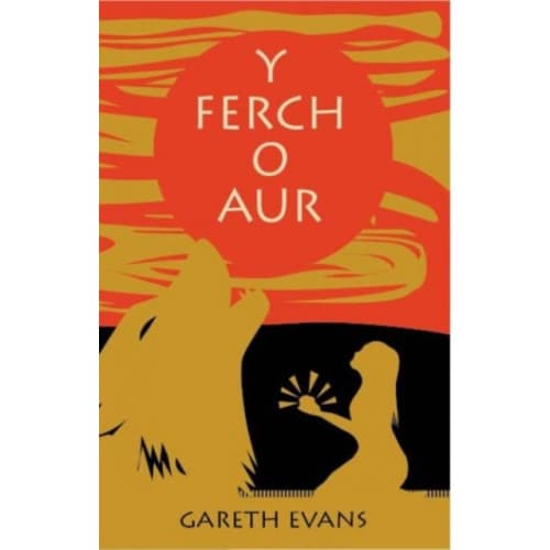 Y Ferch o Aur (häftad, wel)