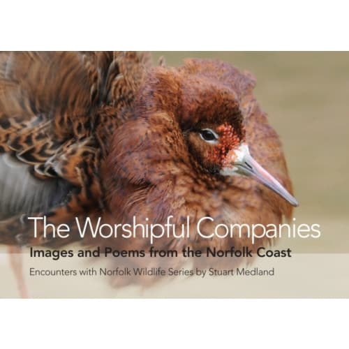 The Worshipful Companies (inbunden, eng)