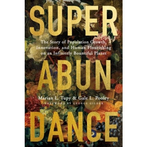 Superabundance (inbunden, eng)