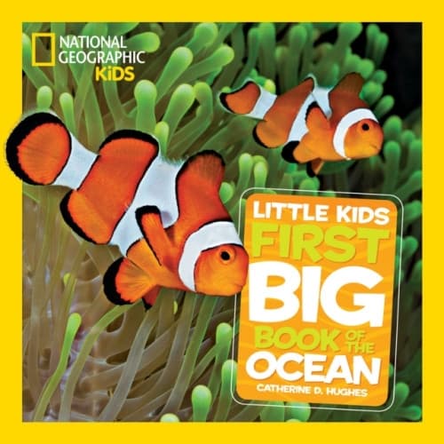 Little Kids First Big Book of The Ocean (inbunden, eng)