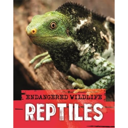 Endangered Wildlife: Rescuing Reptiles (häftad, eng)