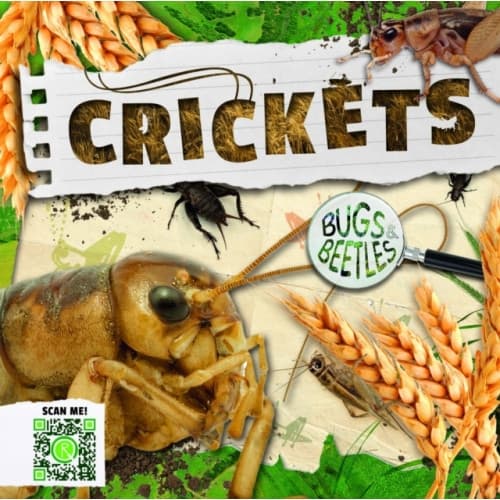 Crickets (inbunden, eng)