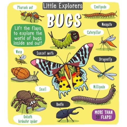 Little Explorers: Bugs (inbunden, eng)