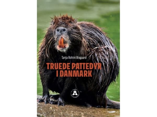 Truede pattedyr i Danmark | Tanja Rohini Bisgaard
