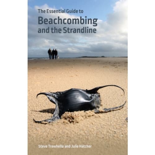 The Essential Guide to Beachcombing and the Strandline (häftad, eng)