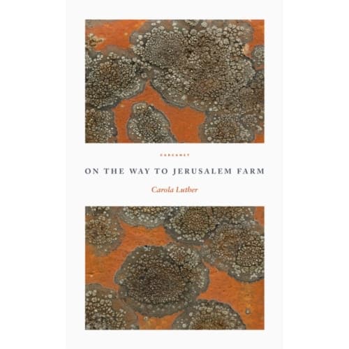 On the Way to Jerusalem Farm (häftad, eng)