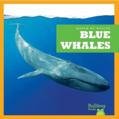 Blue Whales (inbunden, eng)