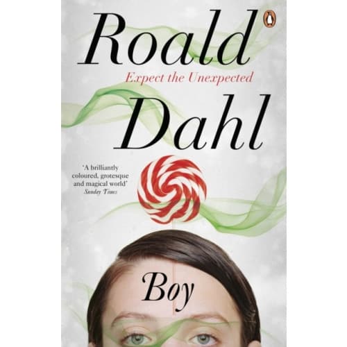 Boy (häftad, eng)