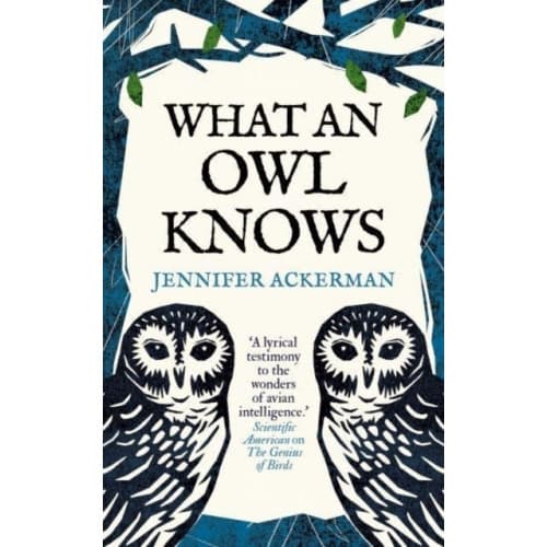 What an Owl Knows (inbunden, eng)