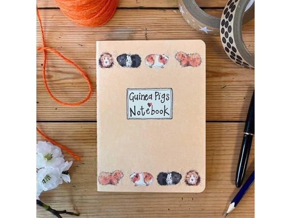 Teka Notebook A5/40K linje SNM13 Försökskaniner |