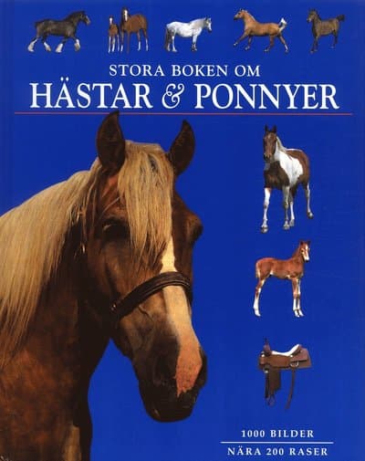 Stora boken om hästar och ponnyer