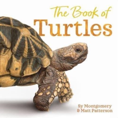 The Book of Turtles (inbunden, eng)