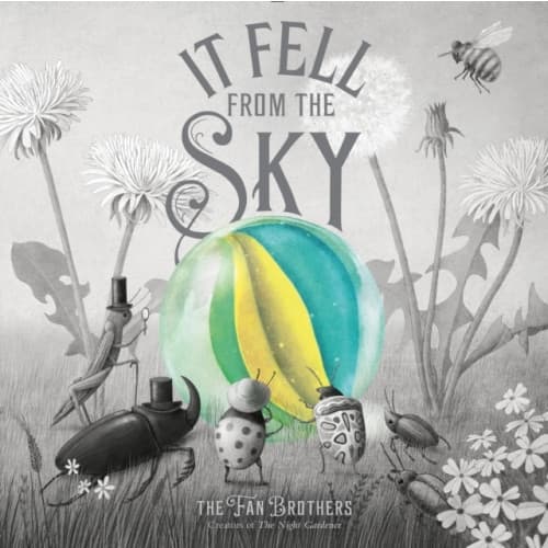 It Fell From The Sky (inbunden, eng)
