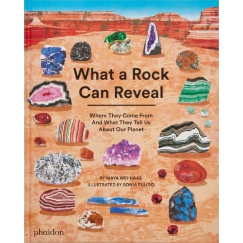 What a Rock Can Reveal (inbunden, eng)