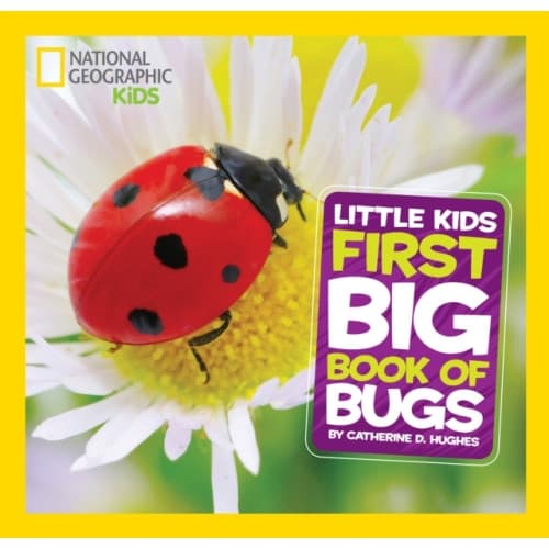 Little Kids First Big Book of Bugs (inbunden, eng)