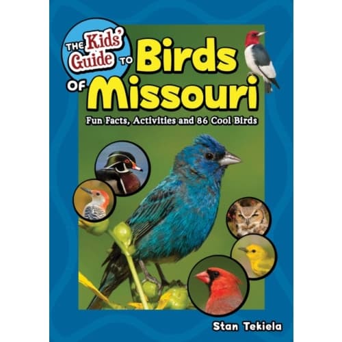 The Kids' Guide to Birds of Missouri (häftad, eng)
