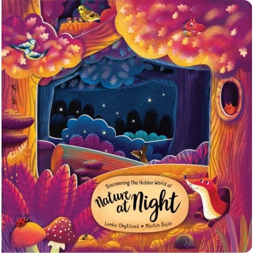 Discovering the Hidden World of Nature at Night (bok, board book, eng)