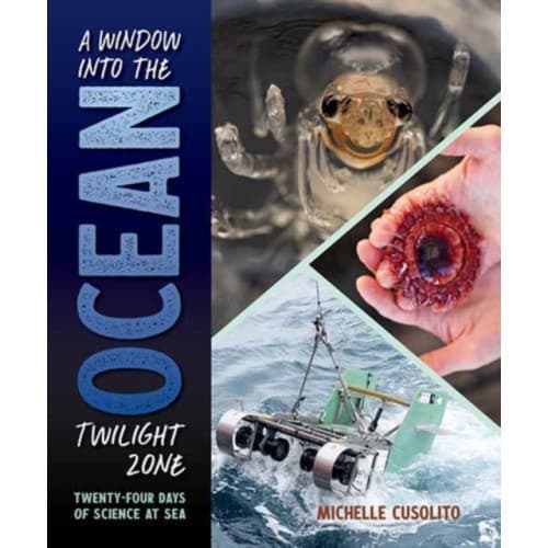 A Window into the Ocean Twilight Zone (inbunden, eng)