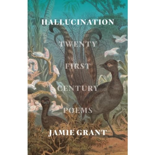 Hallucination (häftad, eng)