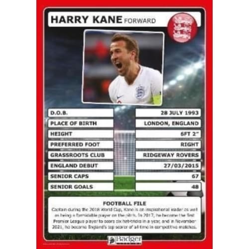 England Football Superstars Poster Set (häftad, eng)