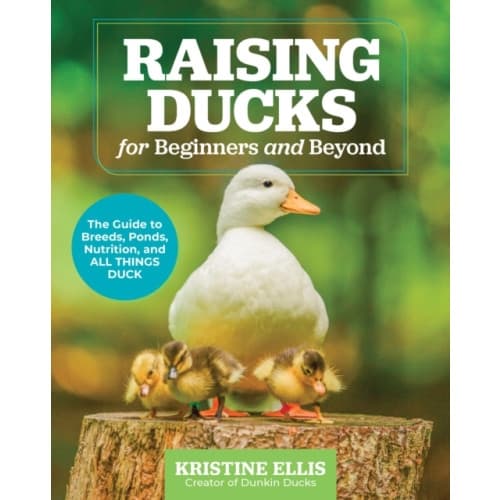 Raising Ducks for Beginners and Beyond (häftad, eng)
