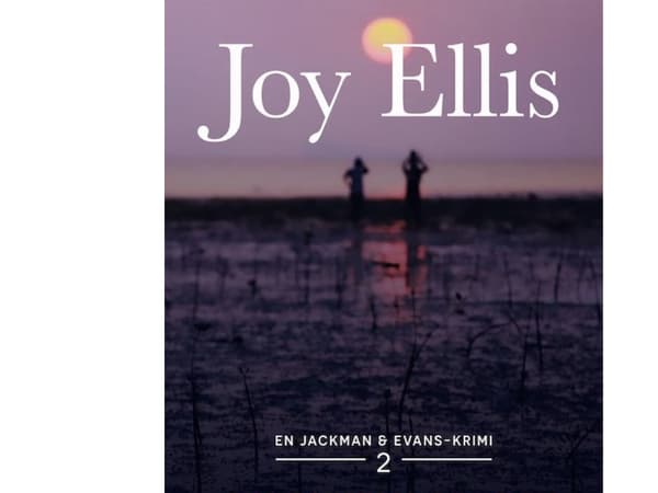 Fortabte døtre | Joy Ellis