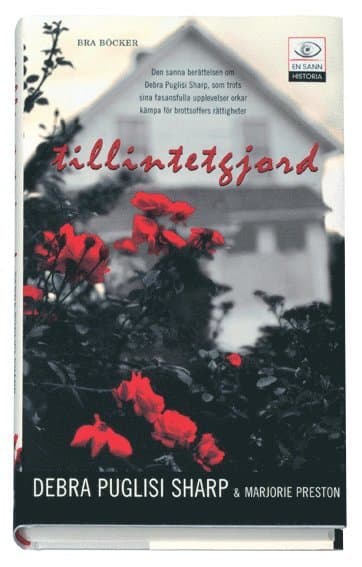 Tillintetgjord : att återta ett liv som tillintetgjorts av våld