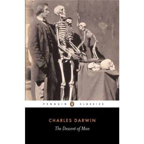 The Descent of Man (häftad, eng)