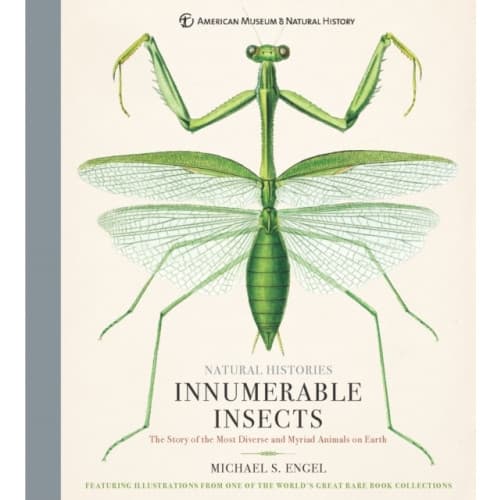 Innumerable Insects (inbunden, eng)