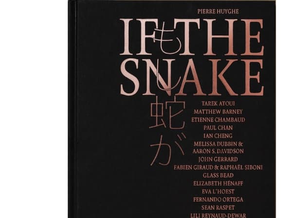 Pierre Huyghe – IF THE SNAKE | Pierre Huyghe