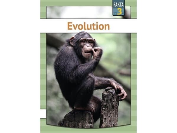 Evolution | Sigurd Toftdahl Terkelsen